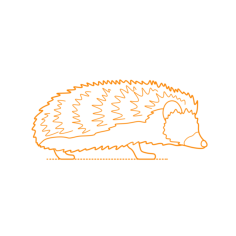 Animals Eulipotyphla Four Toed Hedgehog African Pygmy Hedgehog Sketch Svg Vector, Free Vectors File